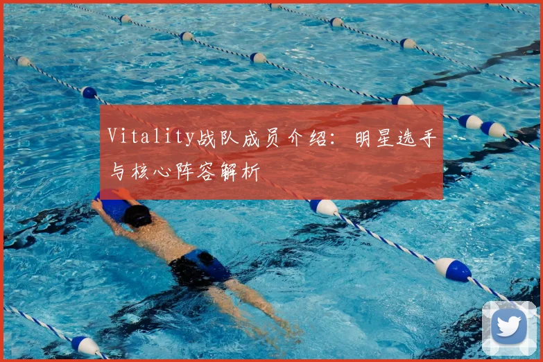 Vitality战队成员介绍：明星选手与核心阵容解析