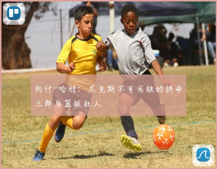约什-哈特:尼克斯不可或缺的拼命三郎与篮板狂人