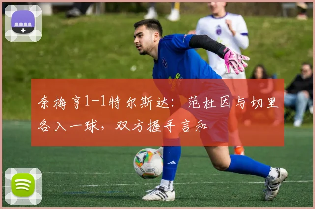奈梅亨1-1特尔斯达:范杜因与切里各入一球,双方握手言和