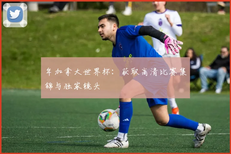 年加拿大世界杯：获取高清比赛集锦与独家镜头