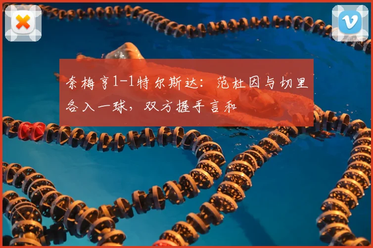 奈梅亨1-1特尔斯达:范杜因与切里各入一球,双方握手言和